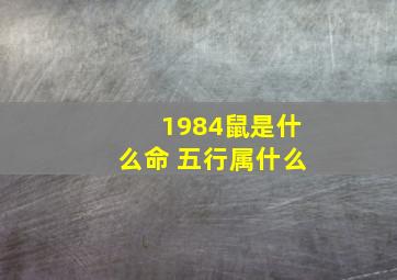 1984鼠是什么命 五行属什么